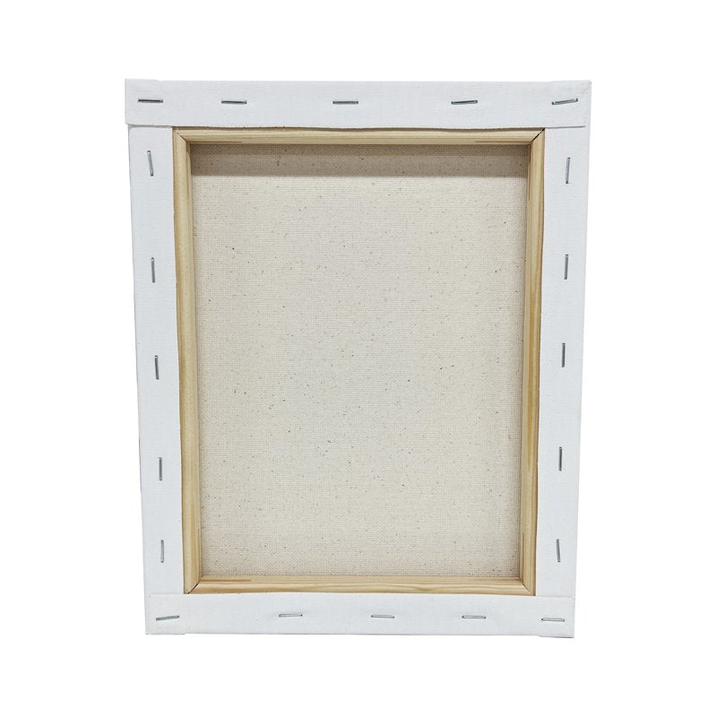 Artist's Loft Canvas Set - Bulk Assorted Sizes for Acrylic & Oil Painting