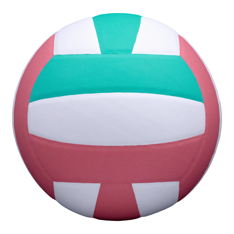 Indoor Volleyball for Youth Training - Official Size & Lightweigh
