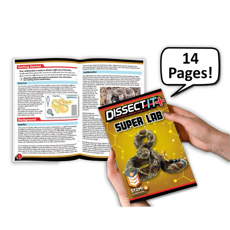 Kids Dissection Kit Rattlesnake Science Set with Realistic Anatomy & Tools