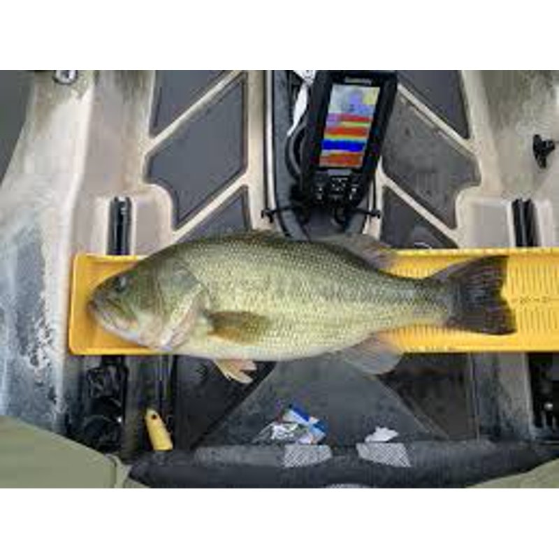 Fishing Measuring Board 26 Inch for Catch and Release Fish Lengths - Durable Polycarbonate