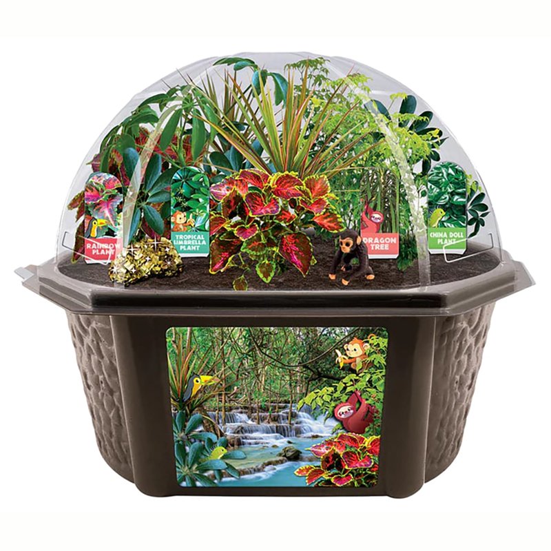 Tropical Rainforest Jungle DIY Biosphere Terrarium Kit - Grow Mini Plants & Animal Figures
