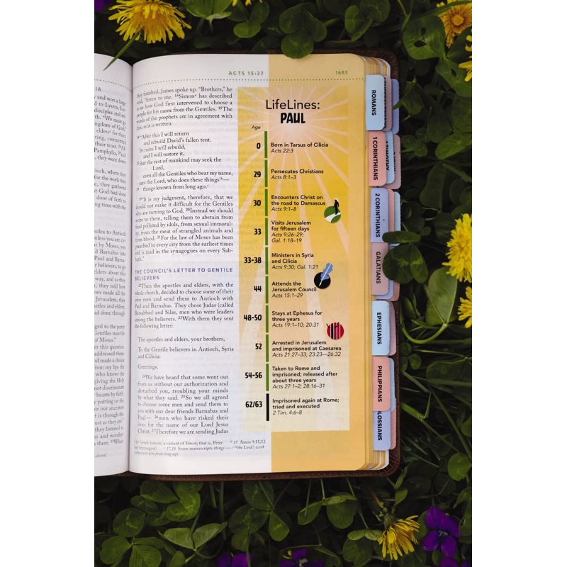 Kids' Visual Study Bible with Full-Color Illustrations & Peel & Stick Tabs - NIV, Leathersoft, Bronze, Hardcover