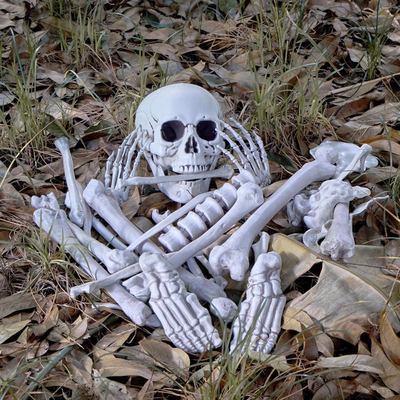 Joyfy 28 Pc Halloween Skeleton Bones & Skull Kit - Indoor/Outdoor Decor, Variation: Suit