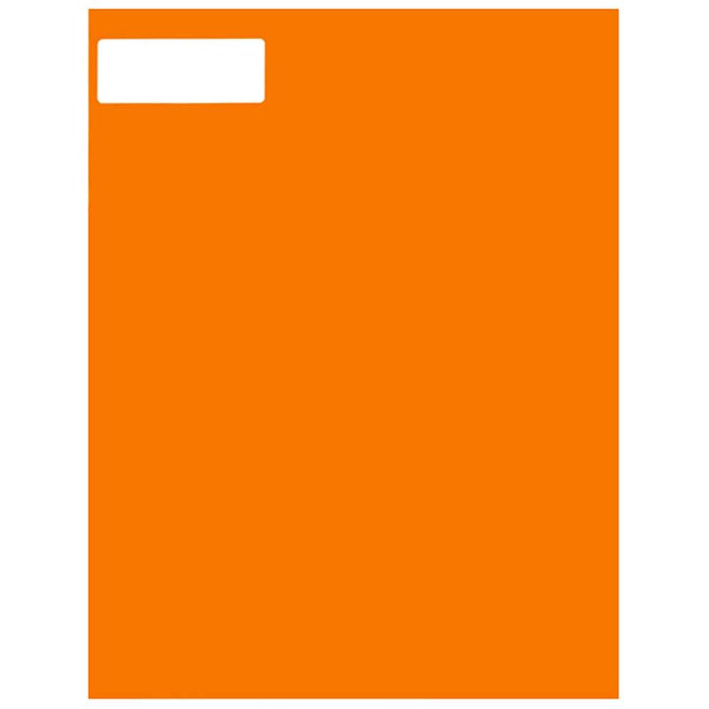 Neon Orange Address Labels - 1 x 2 5/8 Inch Self-Adhesive Mailing Stickers, Pack of 120