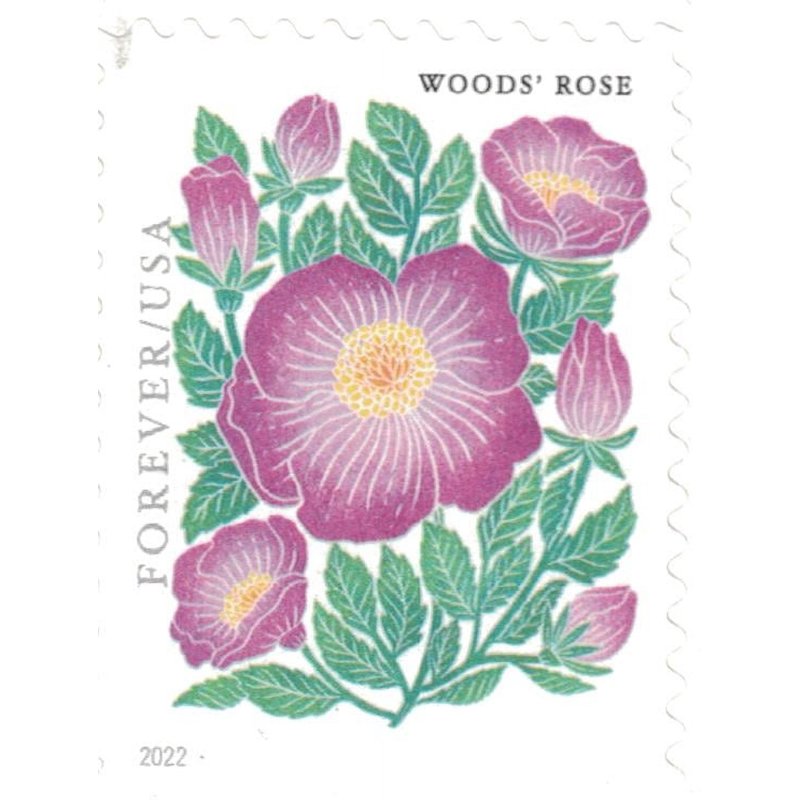 USPS Forever Postage Stamp Book of 20 Mountain Flora Flower Art First Class