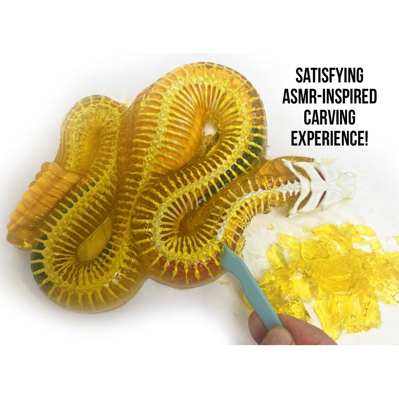 Kids Dissection Kit Rattlesnake Science Set with Realistic Anatomy & Tools