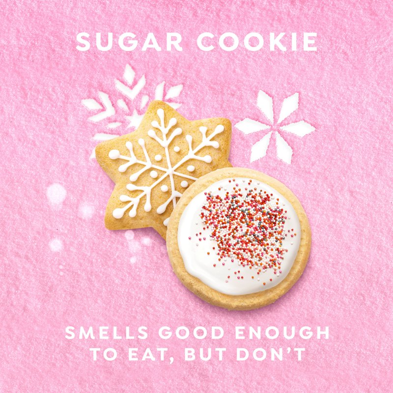 Holiday Limited Edition Sugar Cookie Hand Wash with Nourishing Formula - 12 fl oz