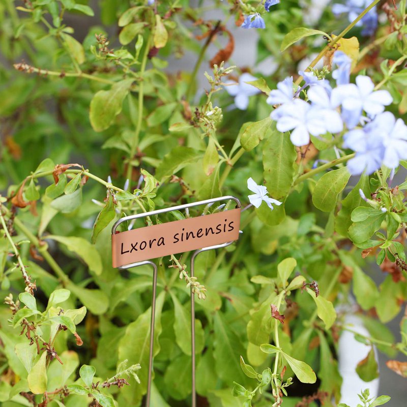 30 Pack 10 Inch Copper Plant Labels Garden Stakes Reusable Markers