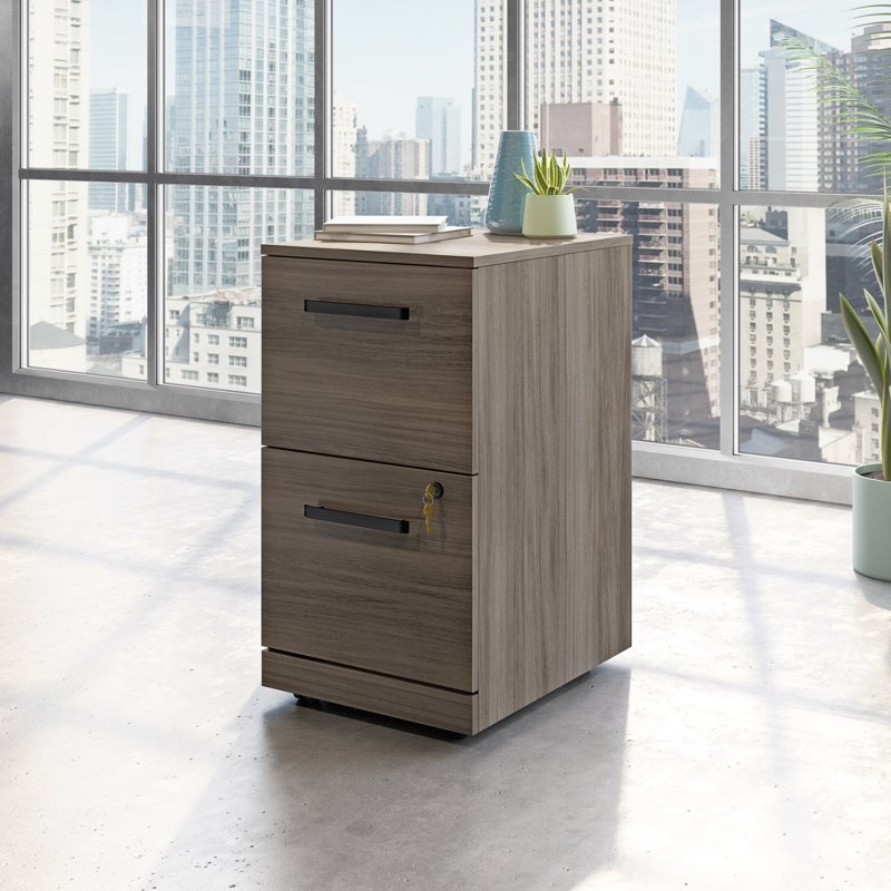 Sauder Affirm 2-Drawer Mobile File Cabinet in Hudson Elm Brown - Office Storage