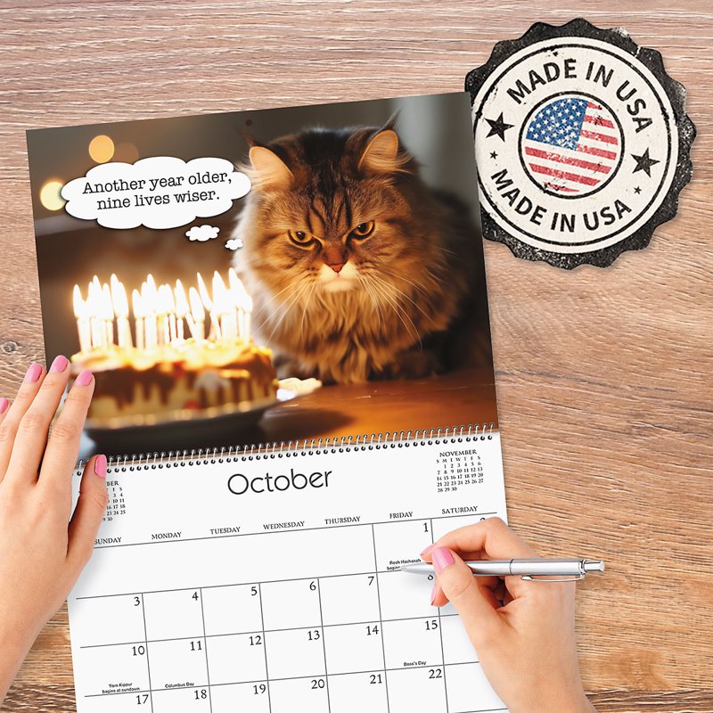 Current 2027 Cat Wall Calendar - Spiral-Bound Monthly Organizer for Kitchen & Office