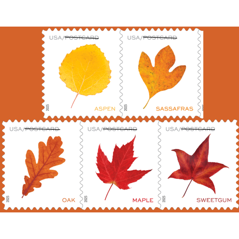 Vibrant Leaf Postage Stamps USPS First Class Forever Set for Seasons & Celebrations