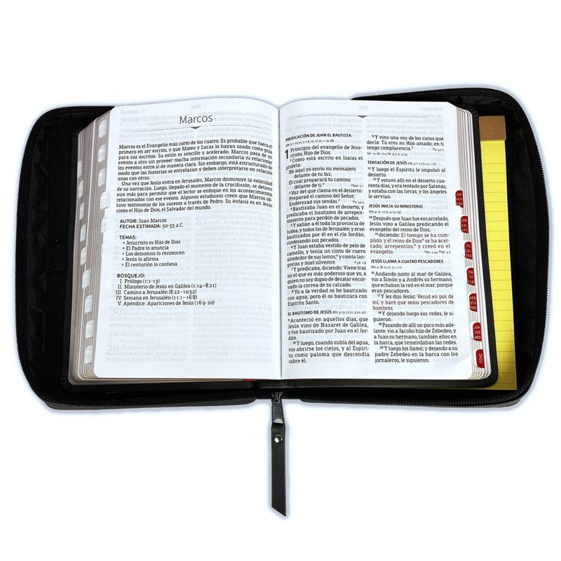 Bible Organizer with Notes & Tabs, Large Print, RV1960, Black