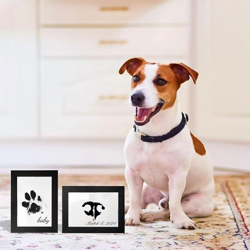 Pet Paw Printing Kit for Dog & Cat Memory Keepsake - Inkless Impression Set