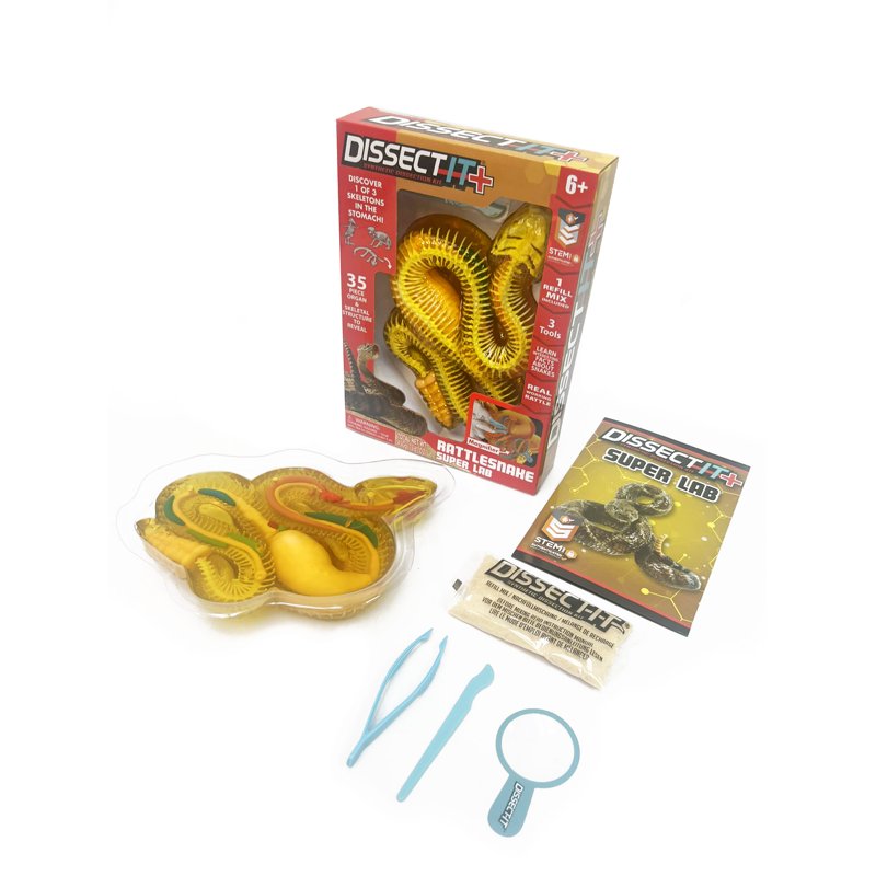 Kids Dissection Kit Rattlesnake Science Set with Realistic Anatomy & Tools