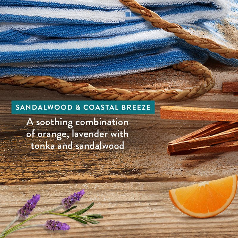 Liquid Hand Soap Pack - Sandalwood & Coastal Breeze Scent, 13 fl oz Multiple Sizes