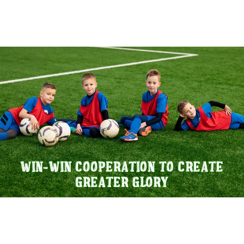 Vipuse 4x3ft Portable Soccer Goals – 2-Pack with Black Variation for Kids & Youth