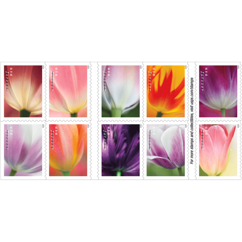 Tulip Blossom USPS Forever Postage Stamps Set of 10, 20, or 100 - Spring Flower
