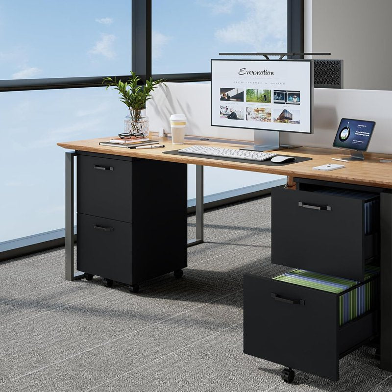 2-Drawer Mobile File Cabinet with Lockable Wheels, Space Saver for Office or Home