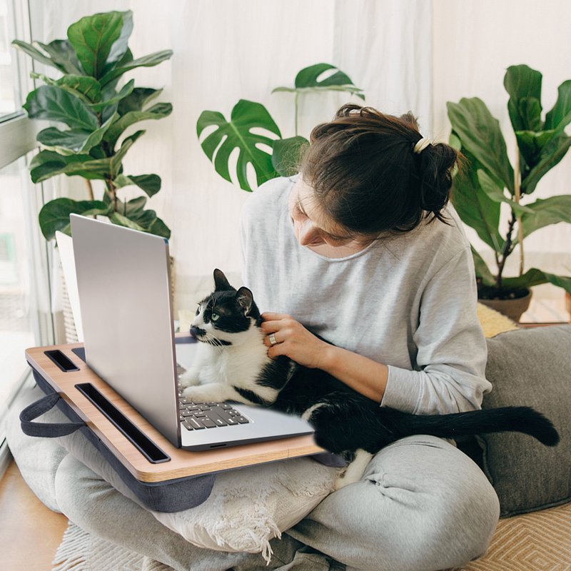 Coliware 21.6 inch Lap Desk with Dual Cushion, Wood Grain — Built-in Mouse Pad & Phone Storage
