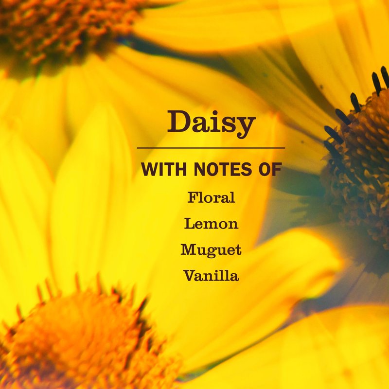 Mrs. Meyer’s Daisy Scent Liquid Hand Soap - Moisturizing & Fresh
