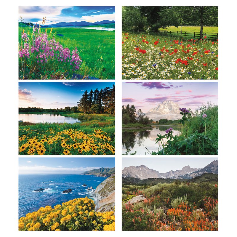 Wildflowers Wall Calendar 2027 - Scenic Nature Photography, 9x12 Inch
