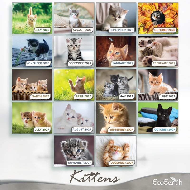Vertical Wall Calendar 2026-2027 - Cute Kittens 18-Month Organizer