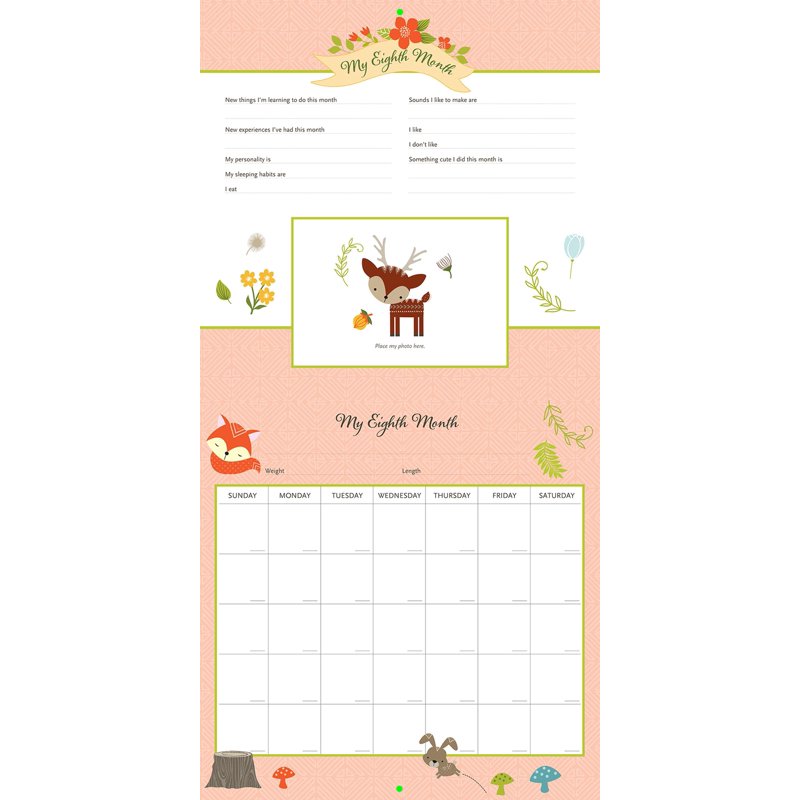 Woodland Friends Baby First Year Calendar - Milestones & Photo Organizer