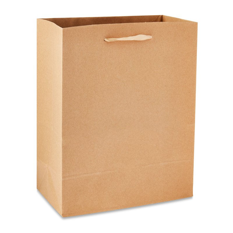 Large Kraft Paper Bags with Handles - 8x10 Inches, Pack of 13