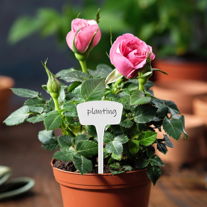 Large Waterproof Plastic Plant Markers 100PCS - Garden Labels for Outdoor Use