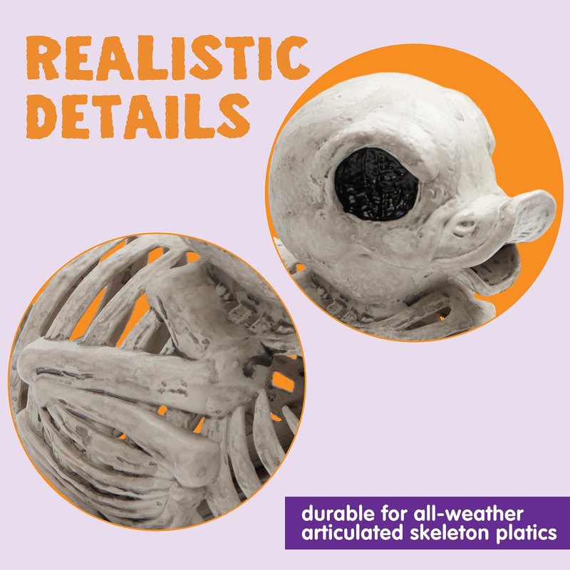 Halloween Duck Skeleton Decorations, 4.5 Inch Plastic Skeletons for Indoor Outdoor Halloween Decor, Haunted House Props, 2 Pack