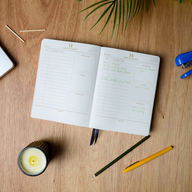 15-Month Sage Green Leatherette Planner with Gilded Edges - Daily Flex Organizer