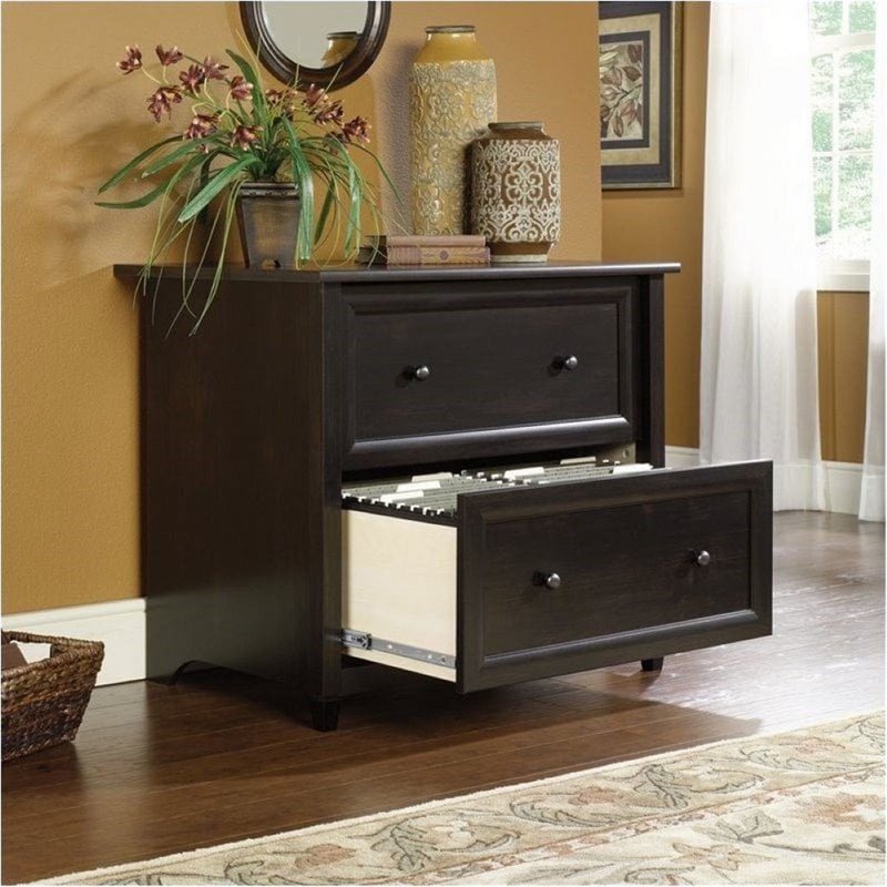 Black 2 Drawer File Cabinet for Office & Home Organization