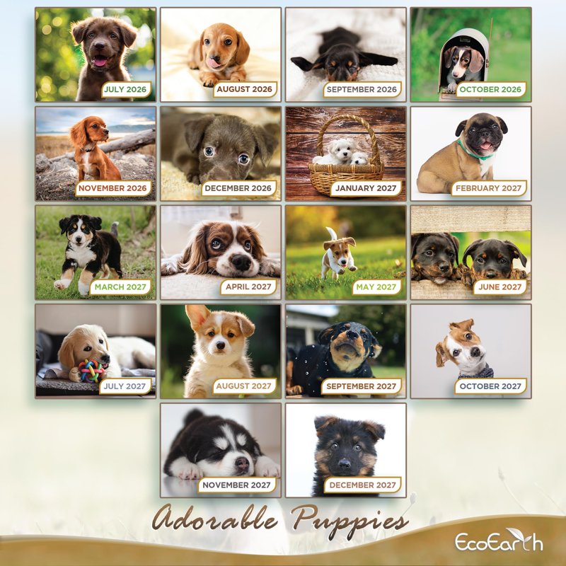 18-Month Vertical Wall Calendar with Puppies - 11x17 Open 2026-2027
