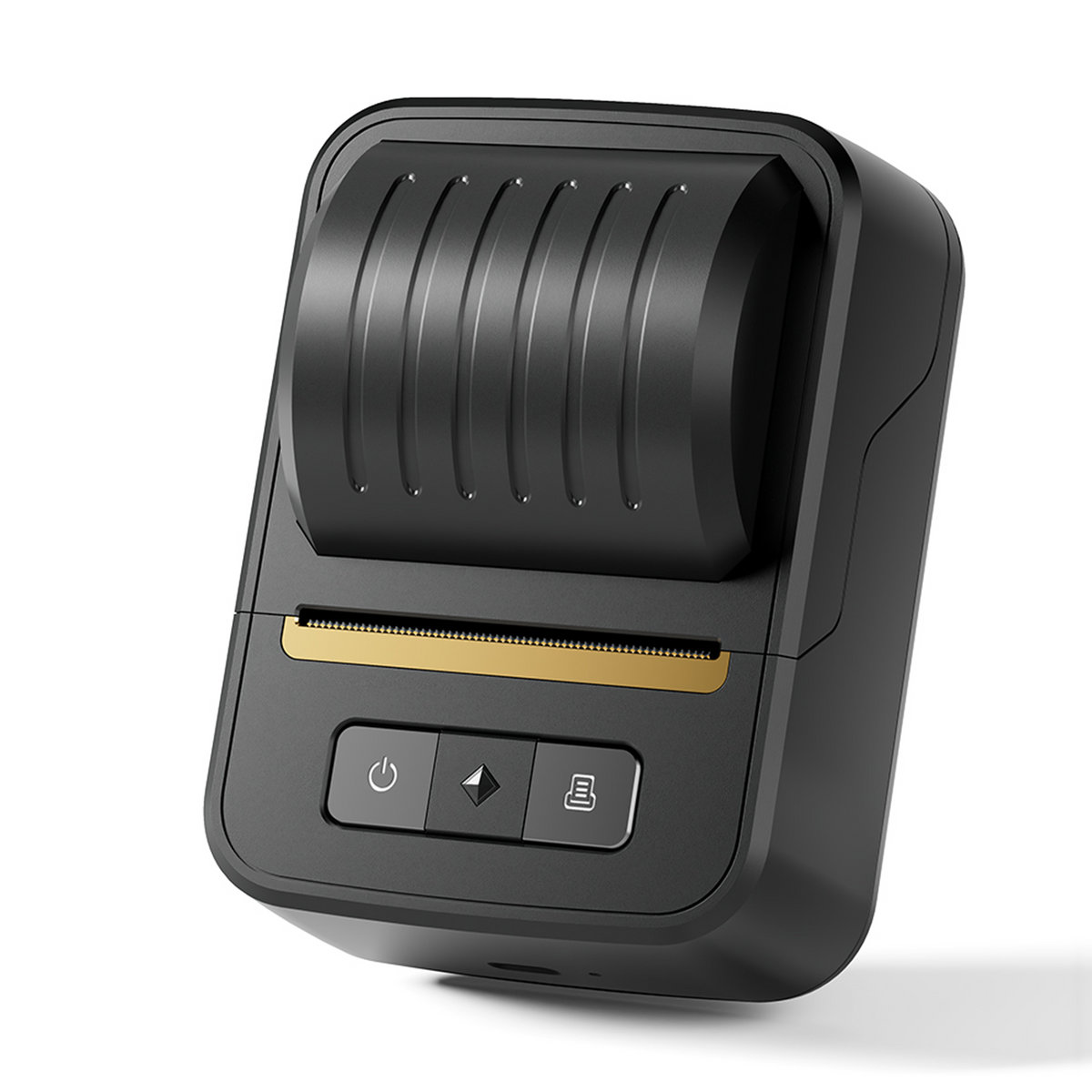 Bluetooth Portable Label Maker with Tapes for Business & Home Use - N20 Thermal Printer