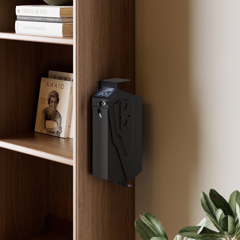 Biometric Safe with Fingerprint & Passcode - Compact Security Box for Home & Office