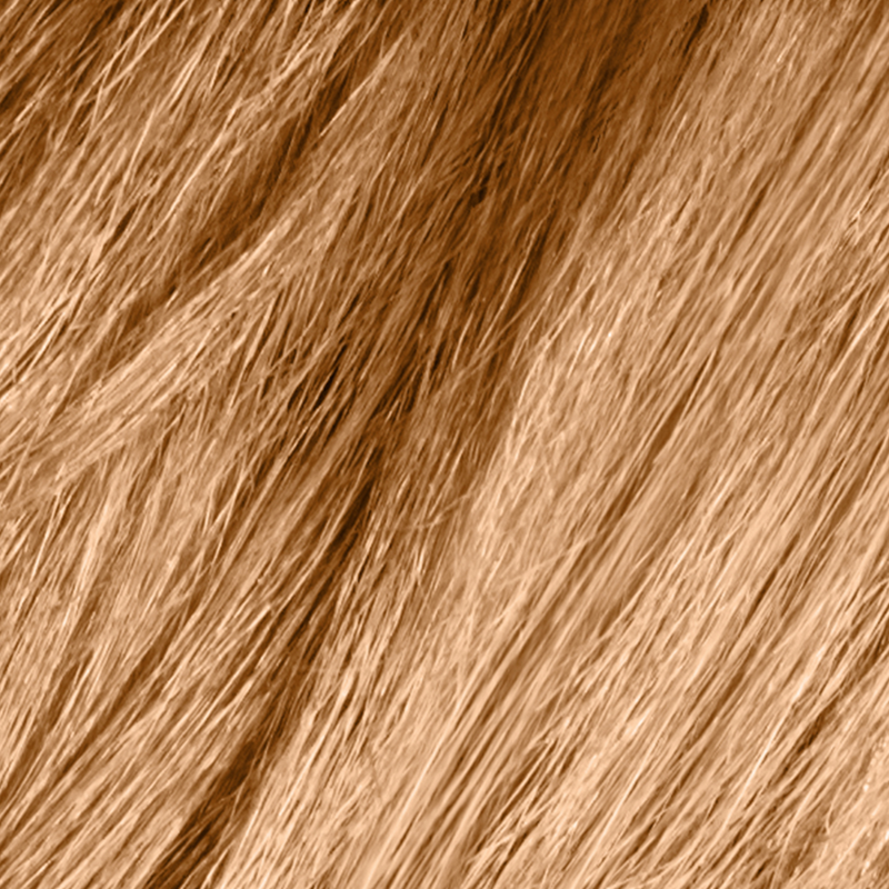Fade-Resistant Hair Color Cream - SoftSheen-Carson Dark & Lovely 378 Honey Blonde