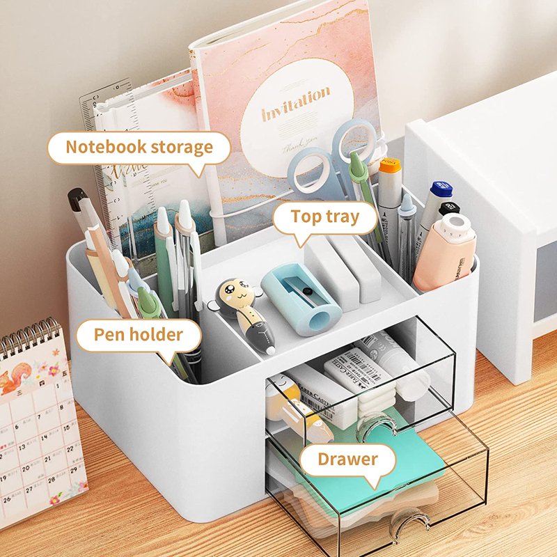 Multi-Functional Pen Organizer with 2 Drawers and Compartments - White Desk Storage
