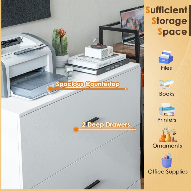 2-Drawer File Cabinet with Adjustable Steel Bars for Office & Home Storage