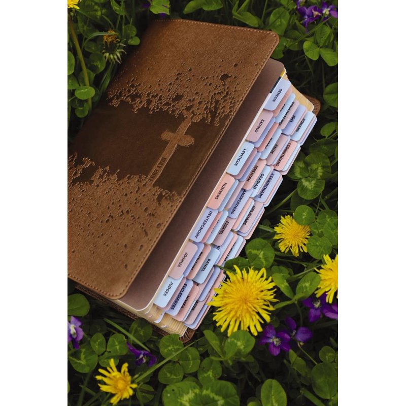 Kids' Visual Study Bible with Full-Color Illustrations & Peel & Stick Tabs - NIV, Leathersoft, Bronze, Hardcover