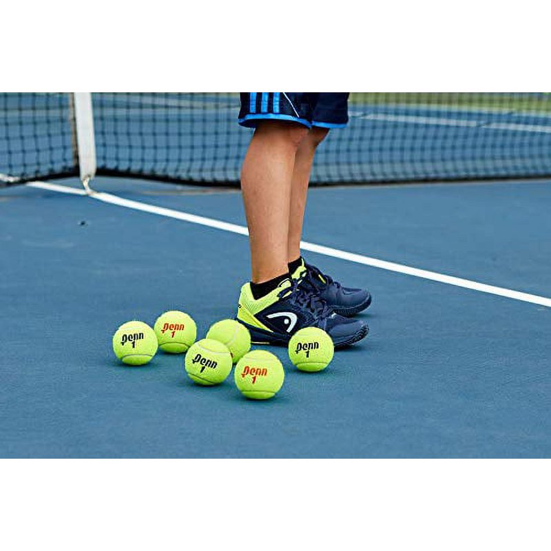 Extra Duty Felt Tennis Balls - 24 Cans, 72 Durable Pressurized Balls