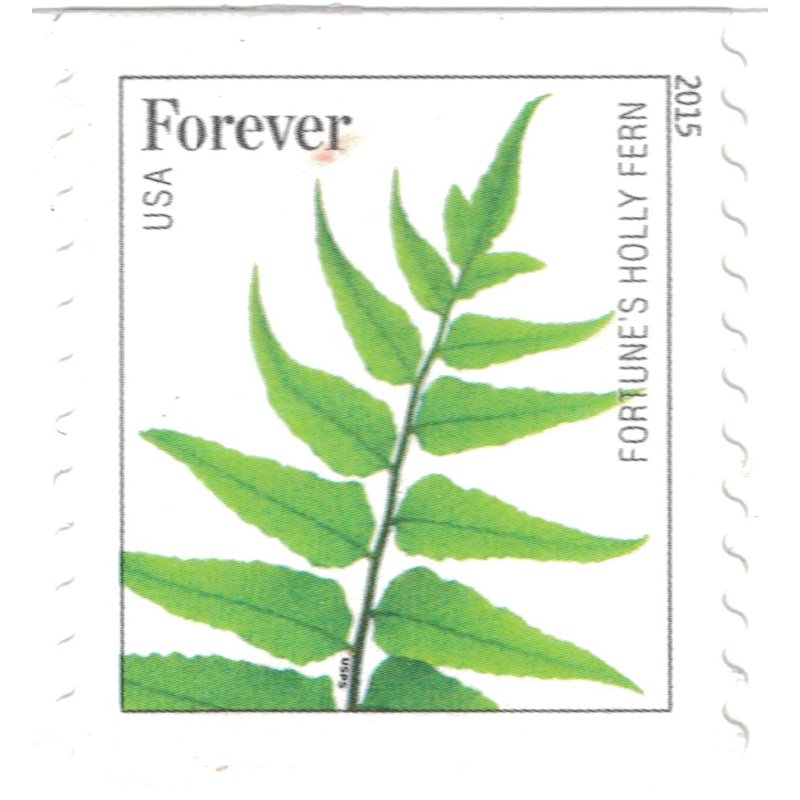 Ferns Postage Stamps Collection - 20, 50, or 100 All Variants