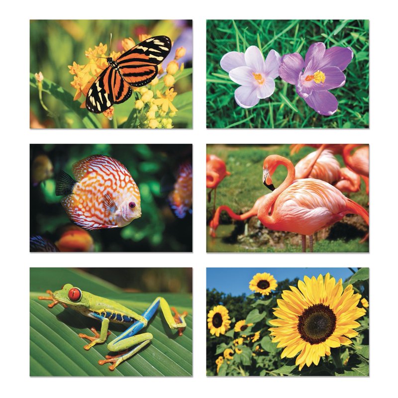 Aquapaintings Easy Painting Kit - Water-Based Art Set for Kids and Beginners