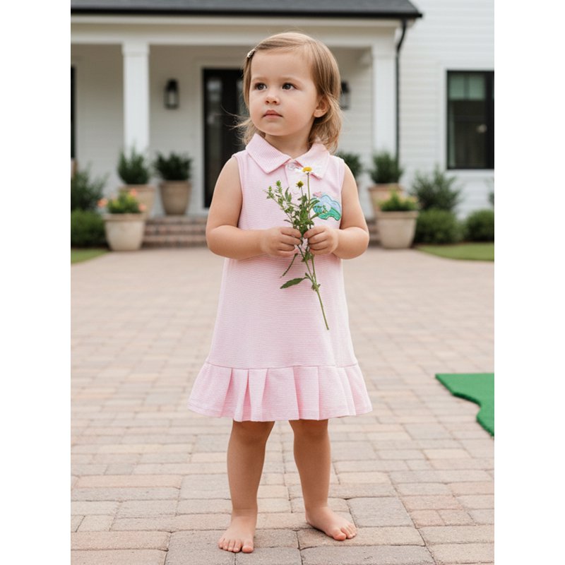Toddler Girl Dress with Button Collar, Ruffled Hem, Embroidered Stripes and Plaid — Multiple Sizes & Colors