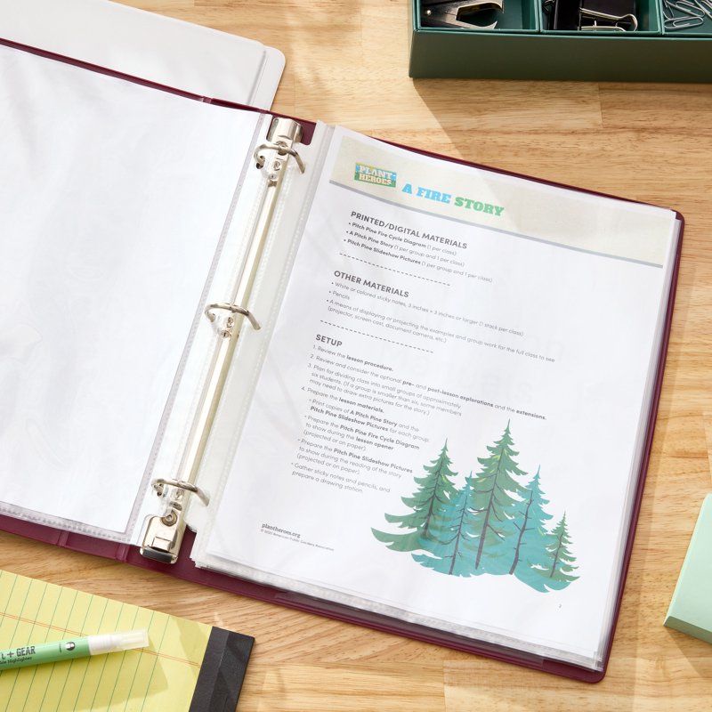 Letter Size Sheet Protectors - Pack of 100, Durable & Reusable Office Document Holders