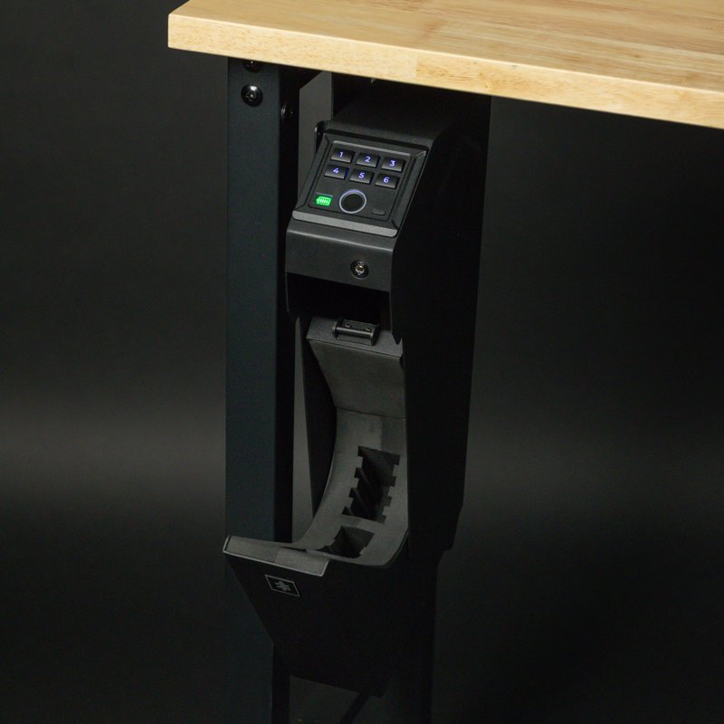 Biometric Gun Safe with Fingerprint & Emergency USB-C Power - Holds 1 Pistol