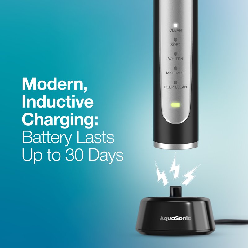 Electric Toothbrush with 5 Modes & 4 Brush Heads - Rechargeable & Waterproof