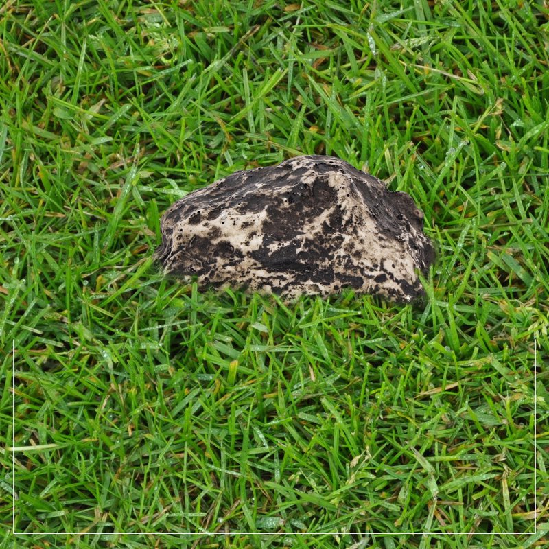 Fake Rock Hide-a-Spare Key - Weatherproof Garden Key Hider for Outdoor Security
