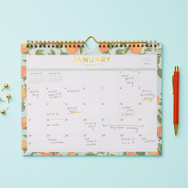 Blue Sky 2027-2028 Wall Calendar - 24 Months Monthly Planner, 11x8.75"