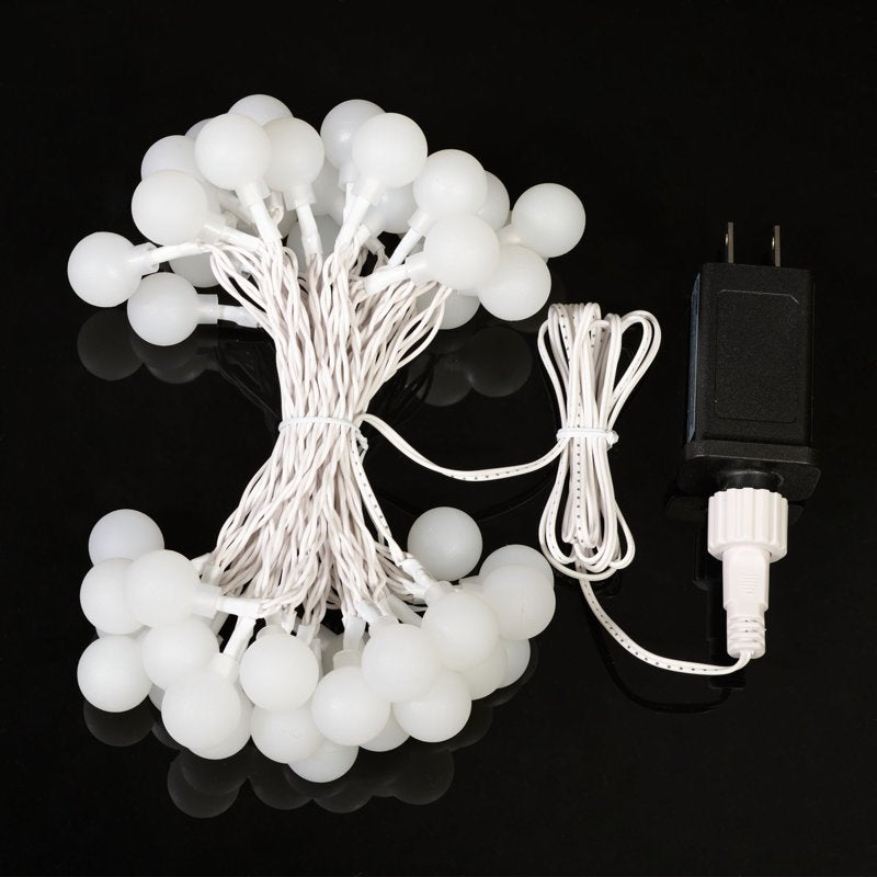 Indoor LED Globe String Lights - 50 Warm White Frosted G20 Globes, 16 ft. Length