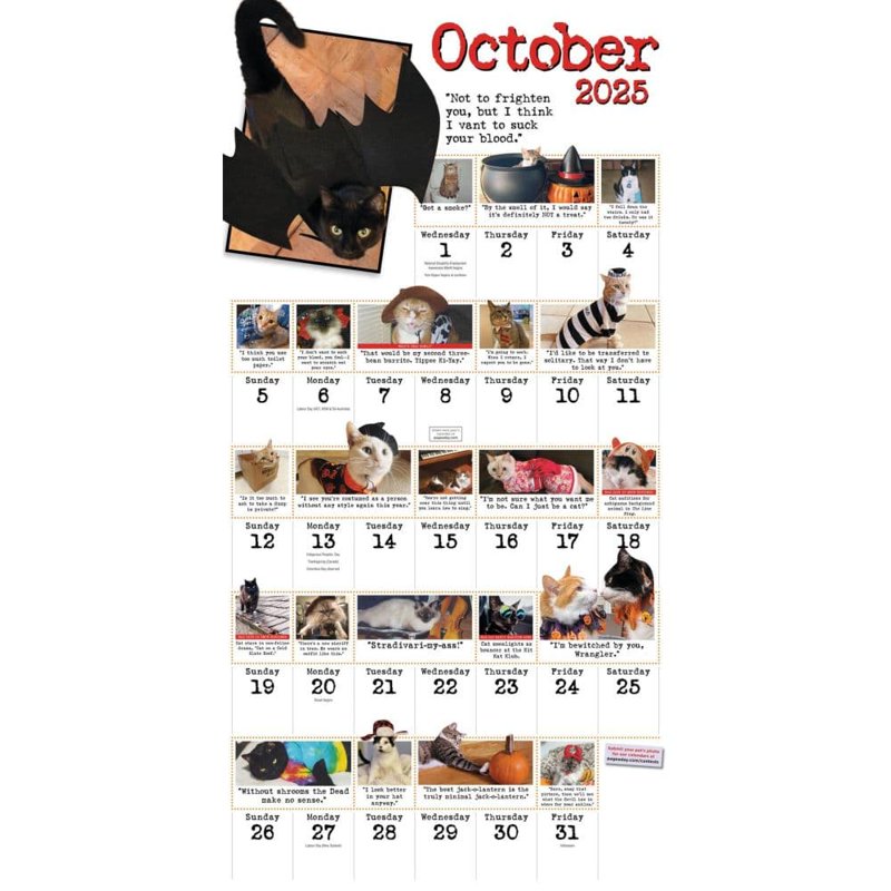 Bad Cat Wall Calendar 2025: Hilarious Feline Misfits with Attitude